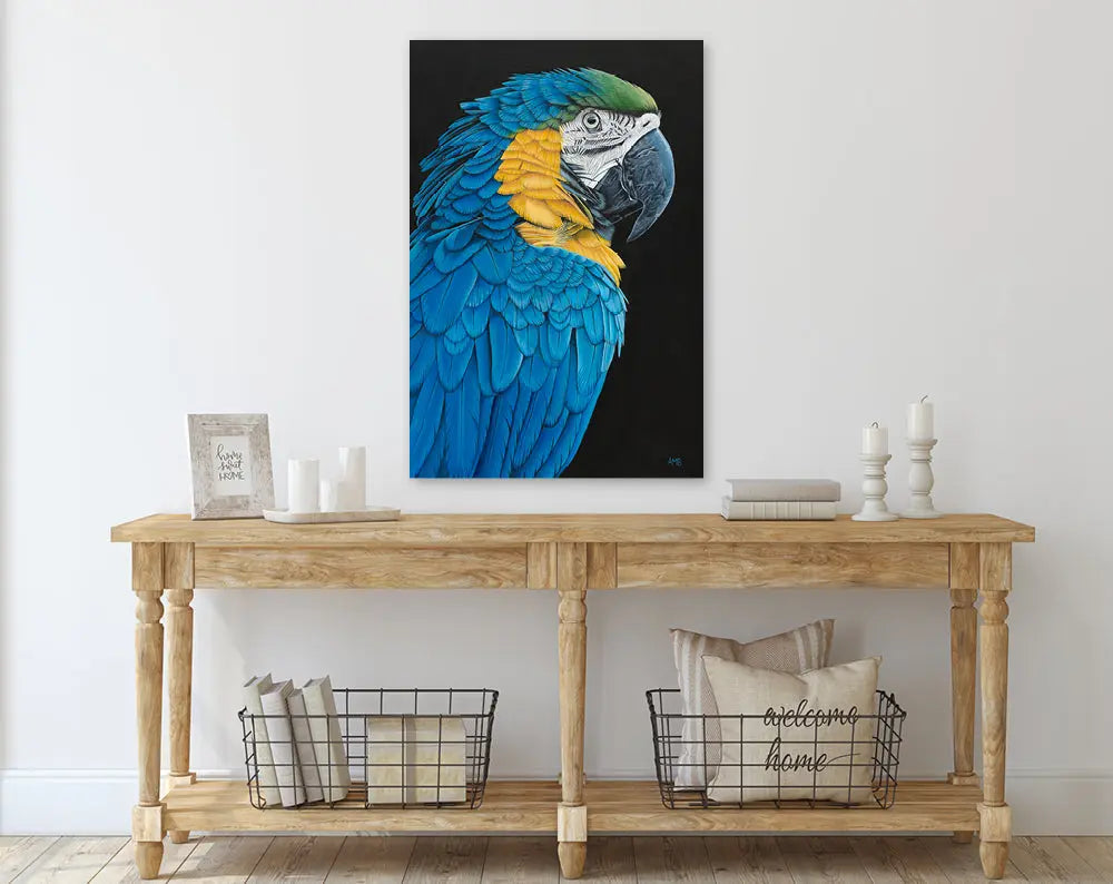 Anastasia - Blue and Gold Macaw Art by Anne-Marie Bloor