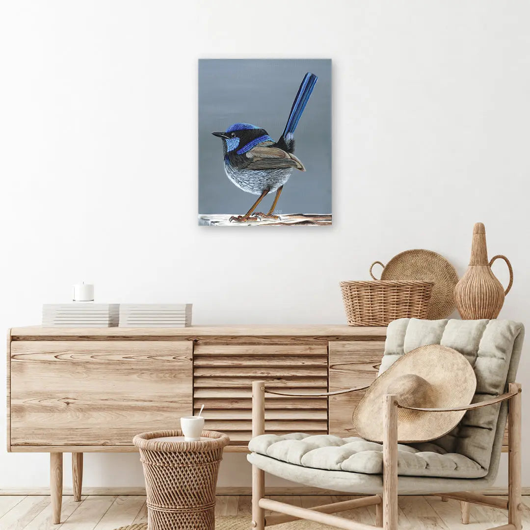 Aran Superb Fairy Wren Art by Anne-Marie Bloor