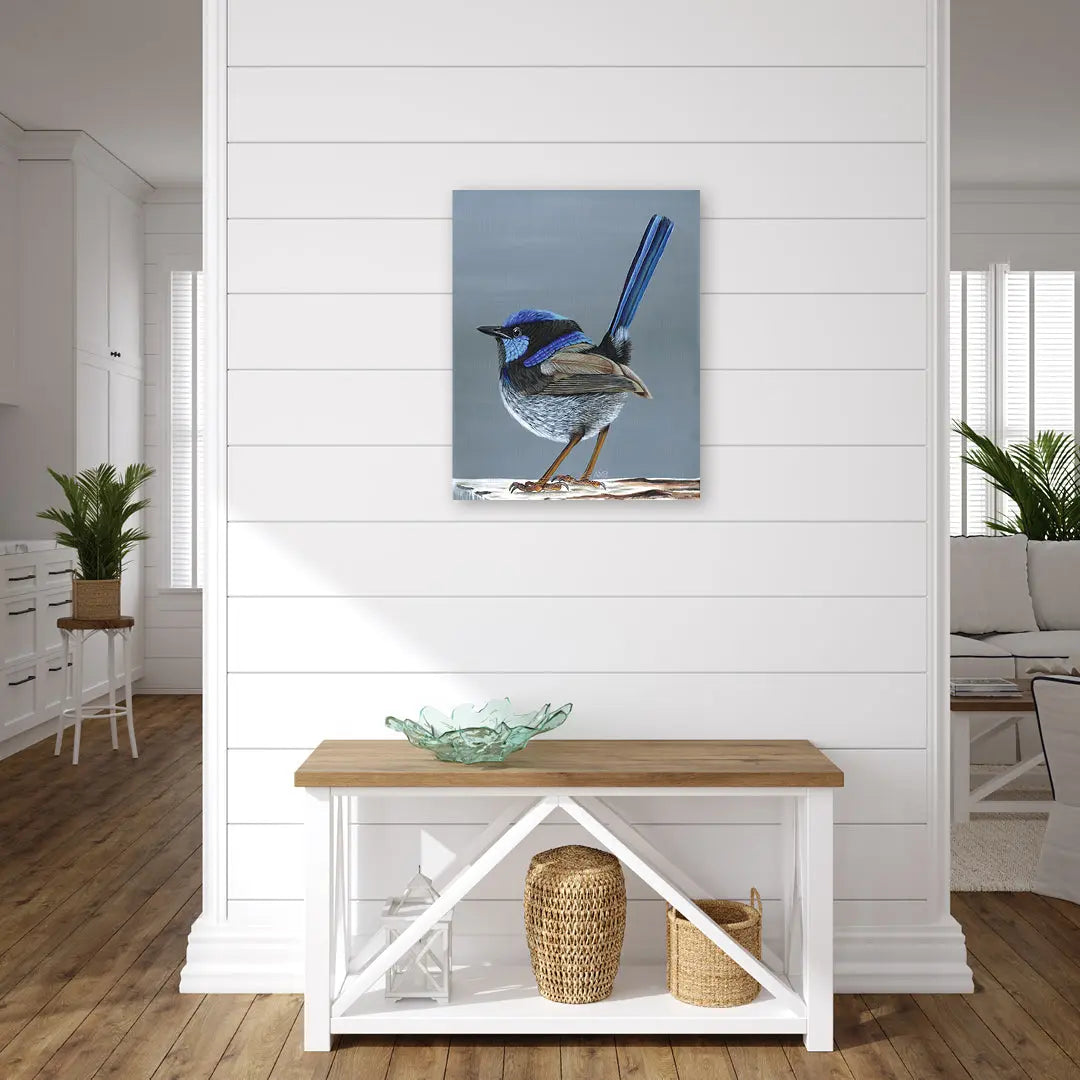 Aran Superb Fairy Wren Art by Anne-Marie Bloor