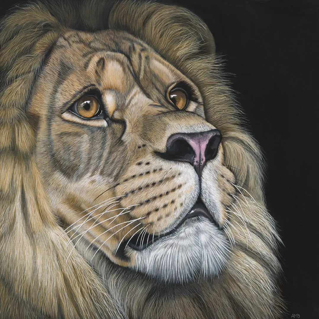 Hope - Lion Painting Art by Anne-Marie Bloor