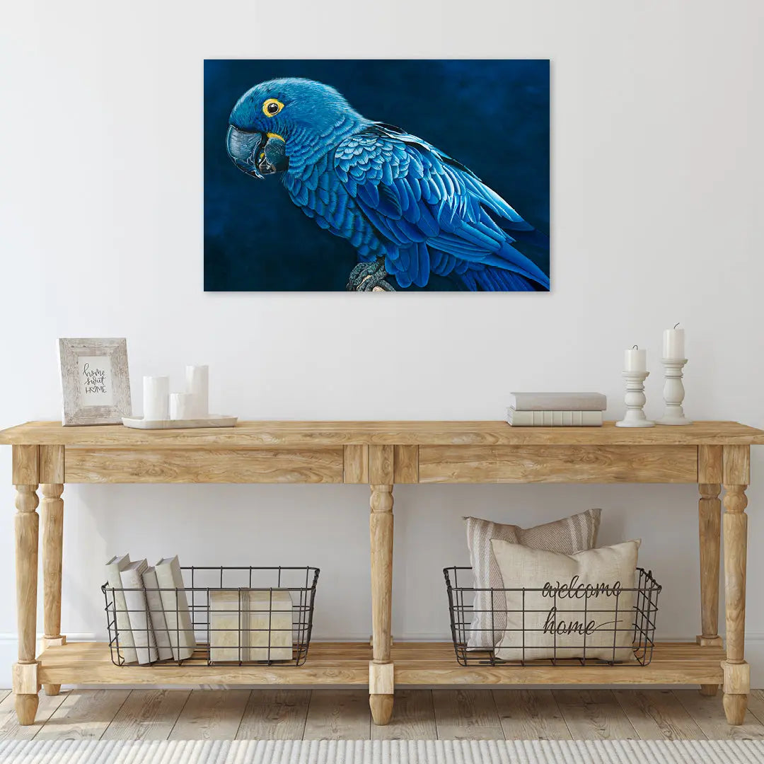 Hyacinth Macaw Print Art by Anne-Marie Bloor
