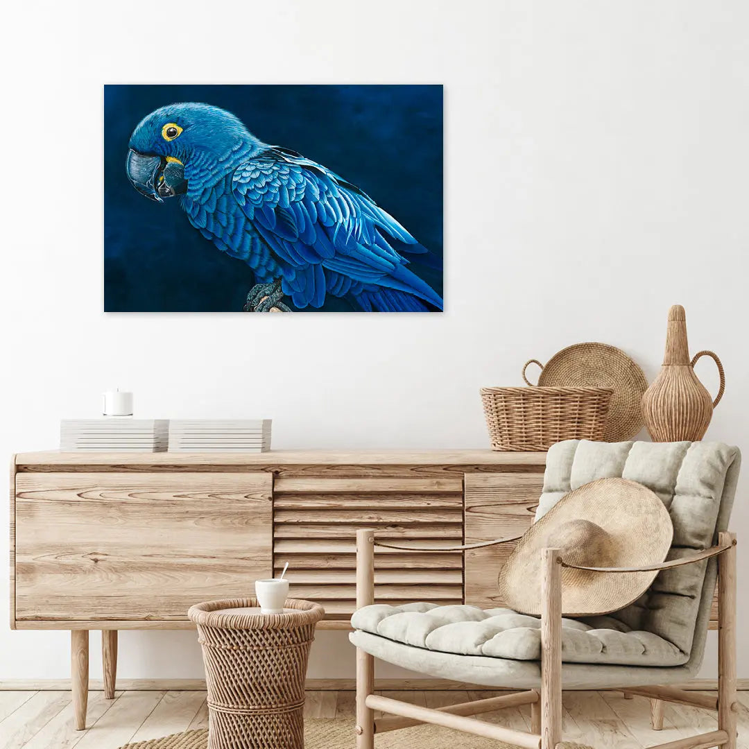 Hyacinth Macaw Art by Anne-Marie Bloor
