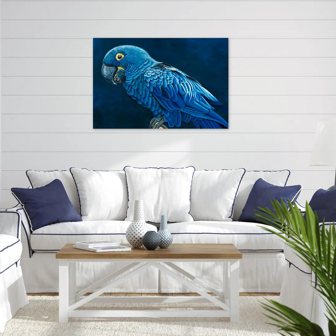 Hyacinth Macaw Art by Anne-Marie Bloor