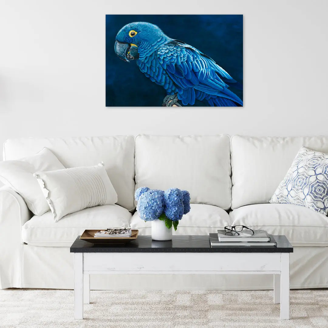 Hyacinth Macaw Art by Anne-Marie Bloor