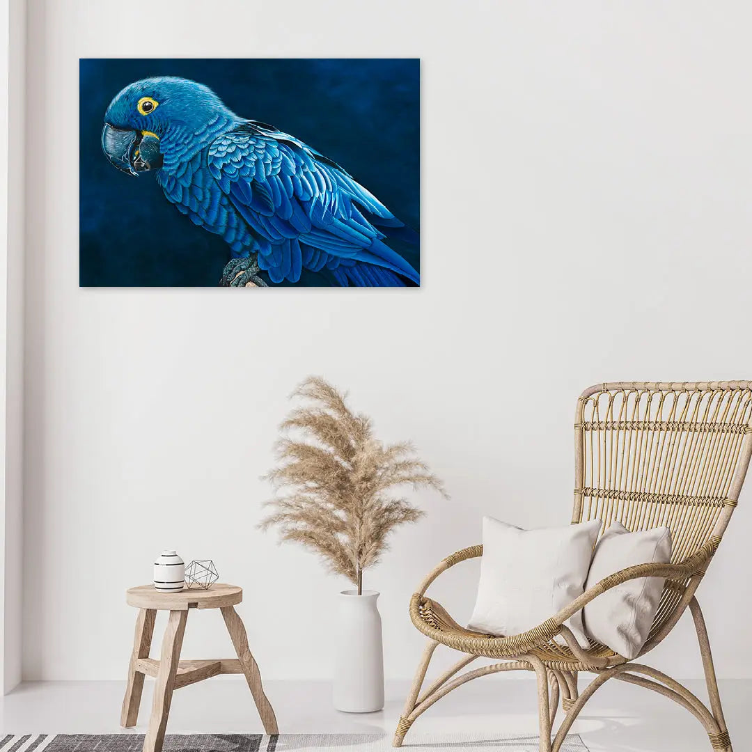 Hyacinth Macaw Art by Anne-Marie Bloor
