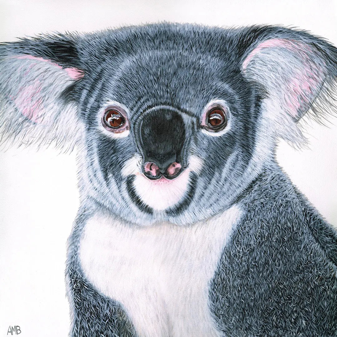 Blinky Koala Art by Anne-Marie Bloor