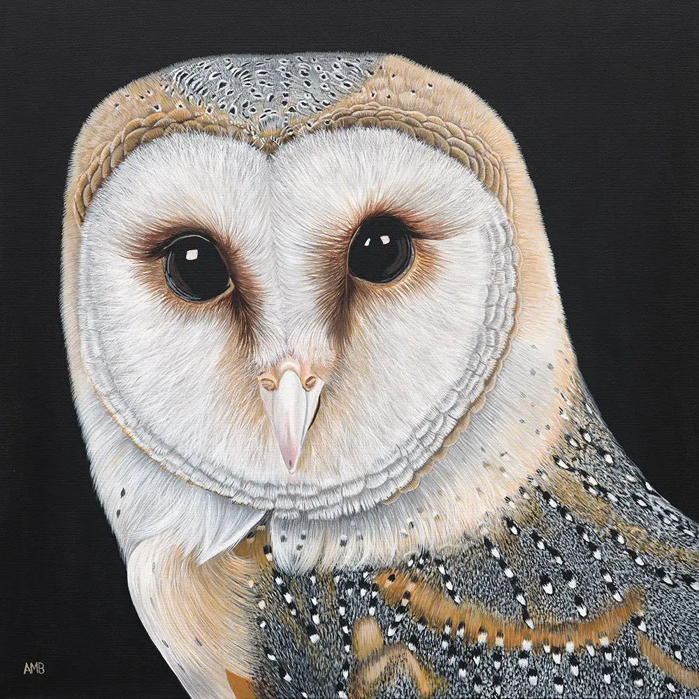 Ollie Barn Owl Print Art by Anne-Marie Bloor