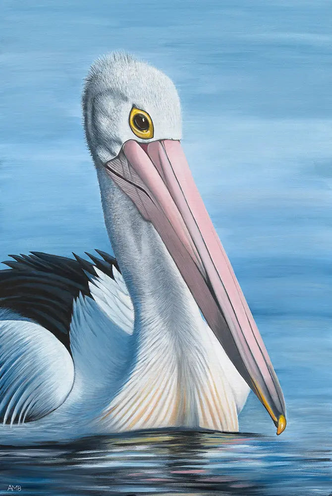 Alan Australian Pelican Print Art by Anne-Marie Bloor