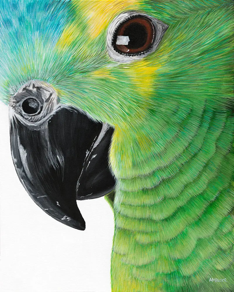 Close-up of a green parrot with detailed feathers and beak.
