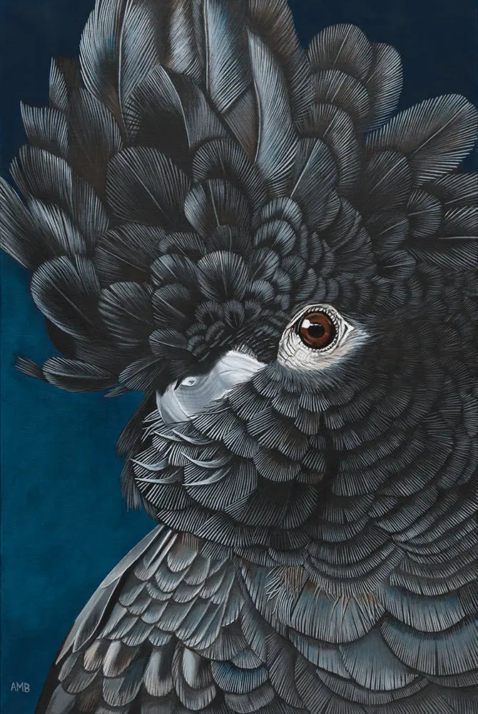 Close-up of a black cockatoo with detailed feathers on a dark blue background