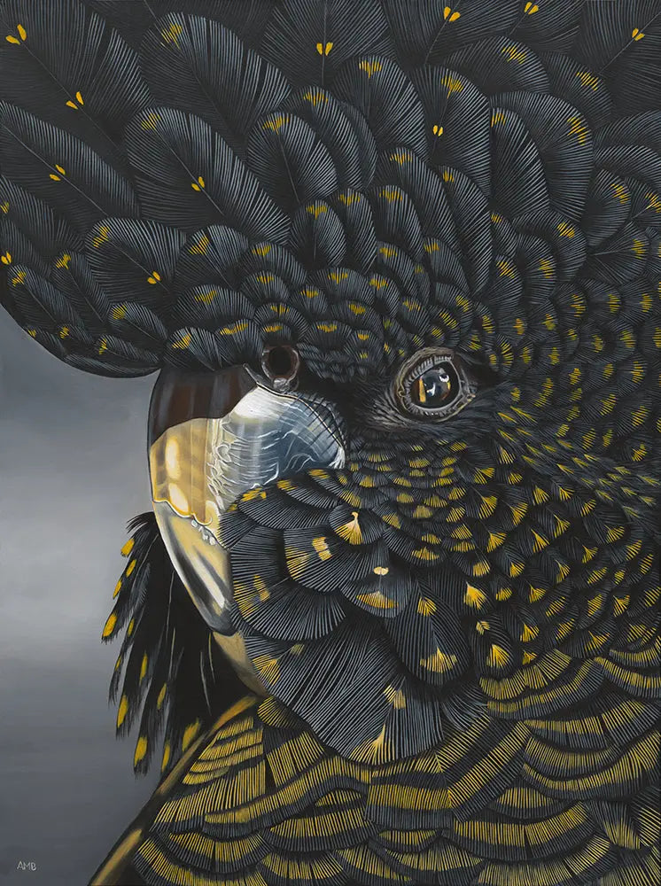 Goldie - Black Cockatoo Print Art by Anne-Marie Bloor