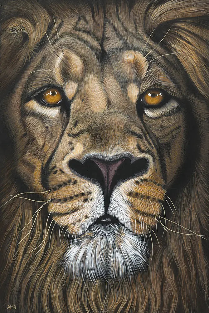 Close up of a lions face.