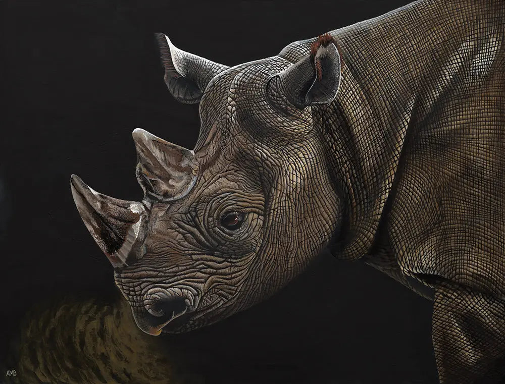 Close-up of a rhinoceros with a dark background