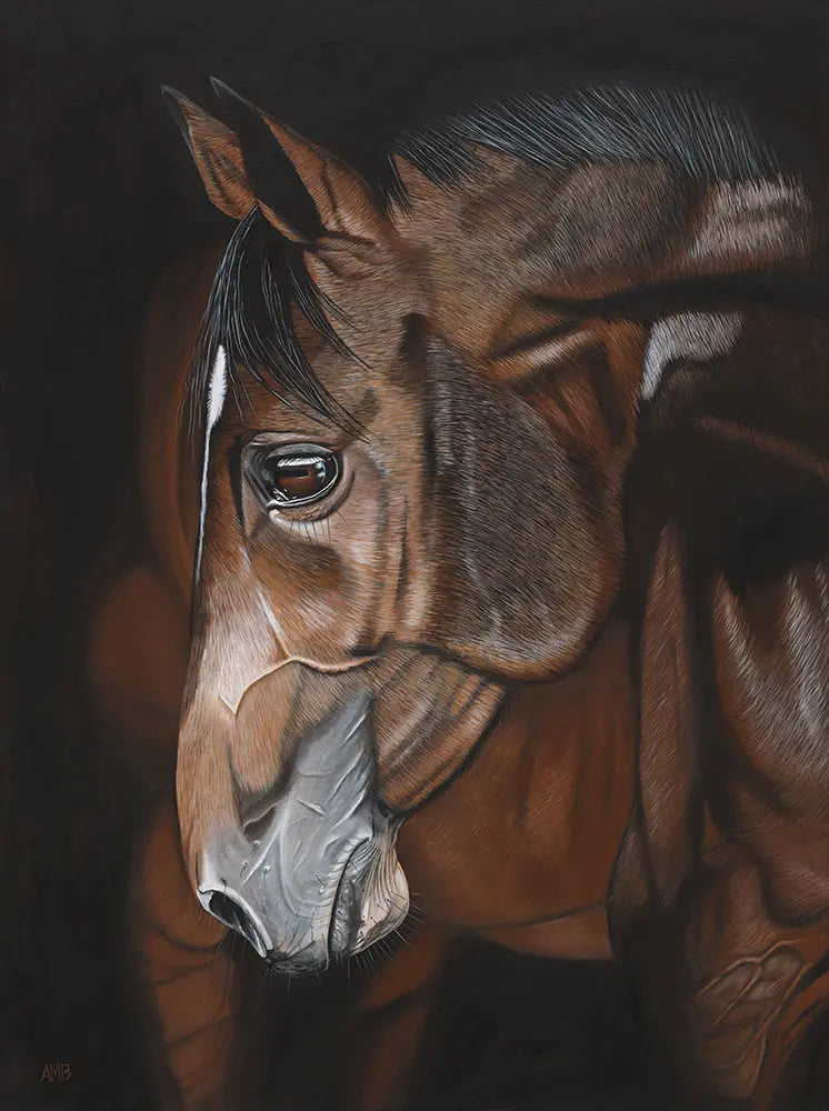 James Anthony Horse Portrait Art by Anne-Marie Bloor