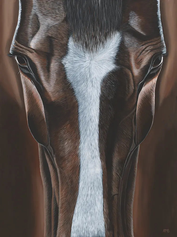 Close-up of a horse's face with a white blaze on a brown background