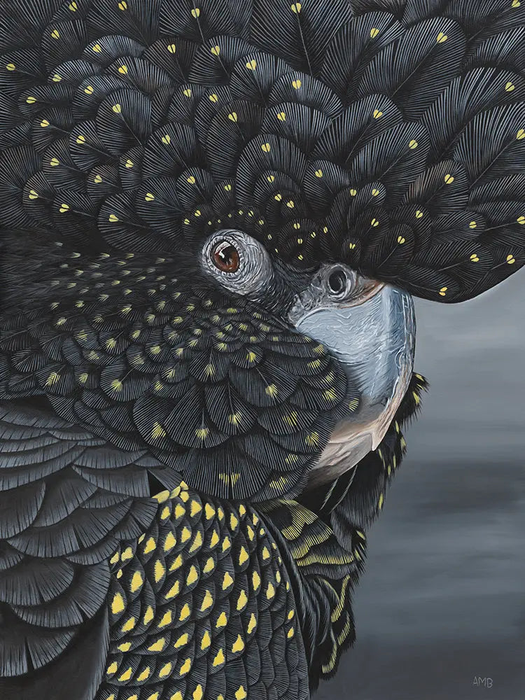 Sharon Black Cockatoo Art by Anne-Marie Bloor