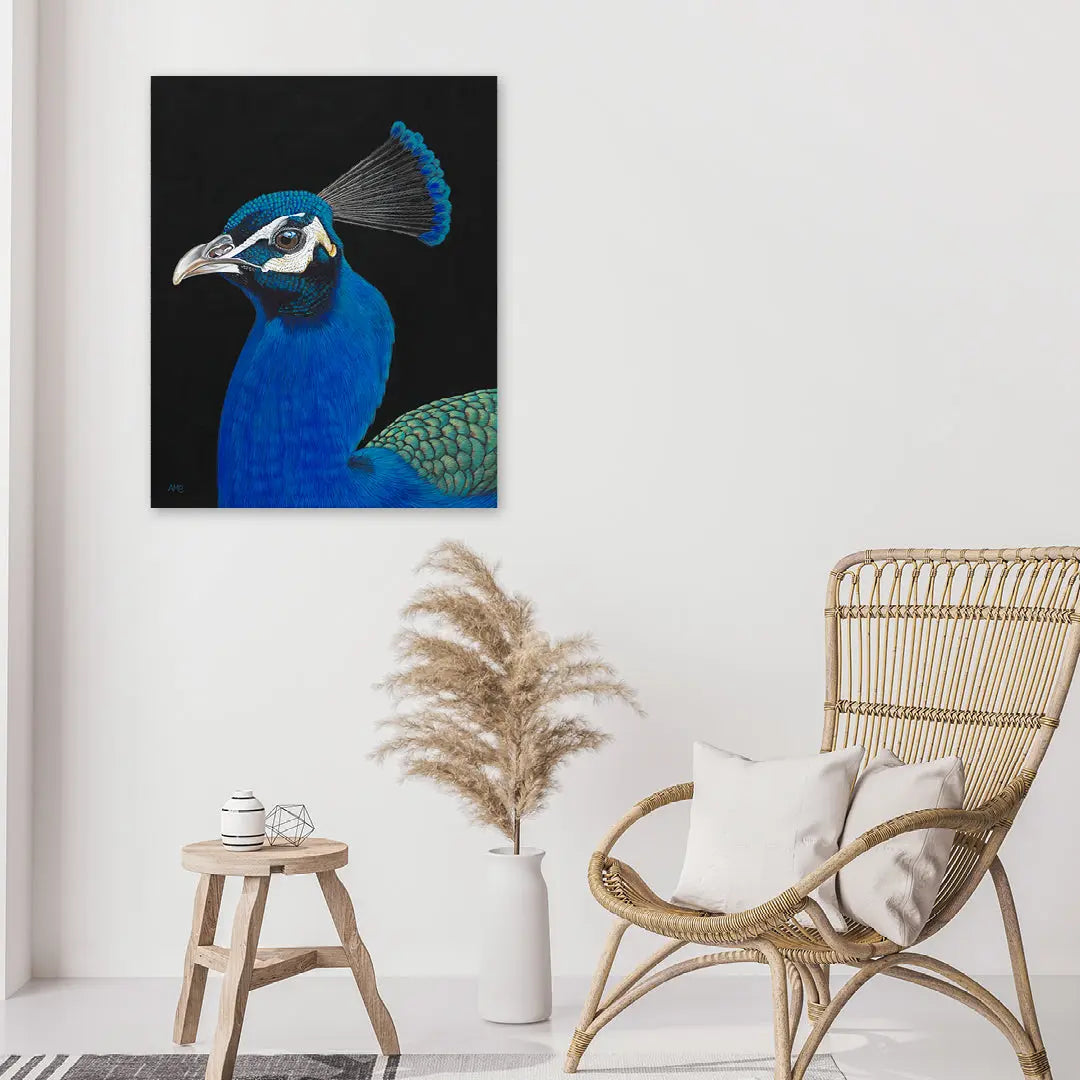 Perry Peacock Art by Anne-Marie Bloor