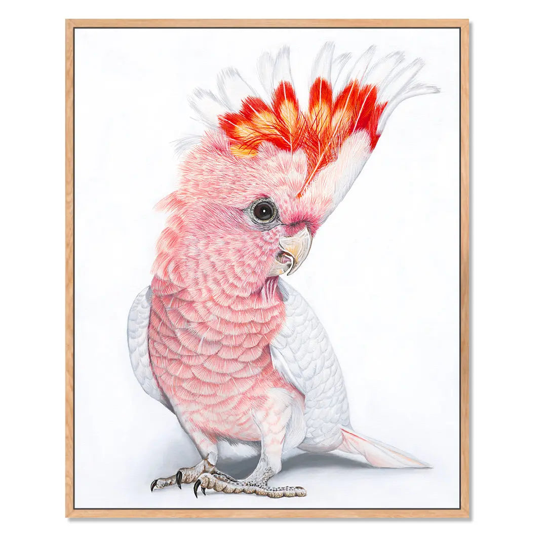 Polly Pink Cockatoo (UNFRAMED) Art by Anne-Marie Bloor