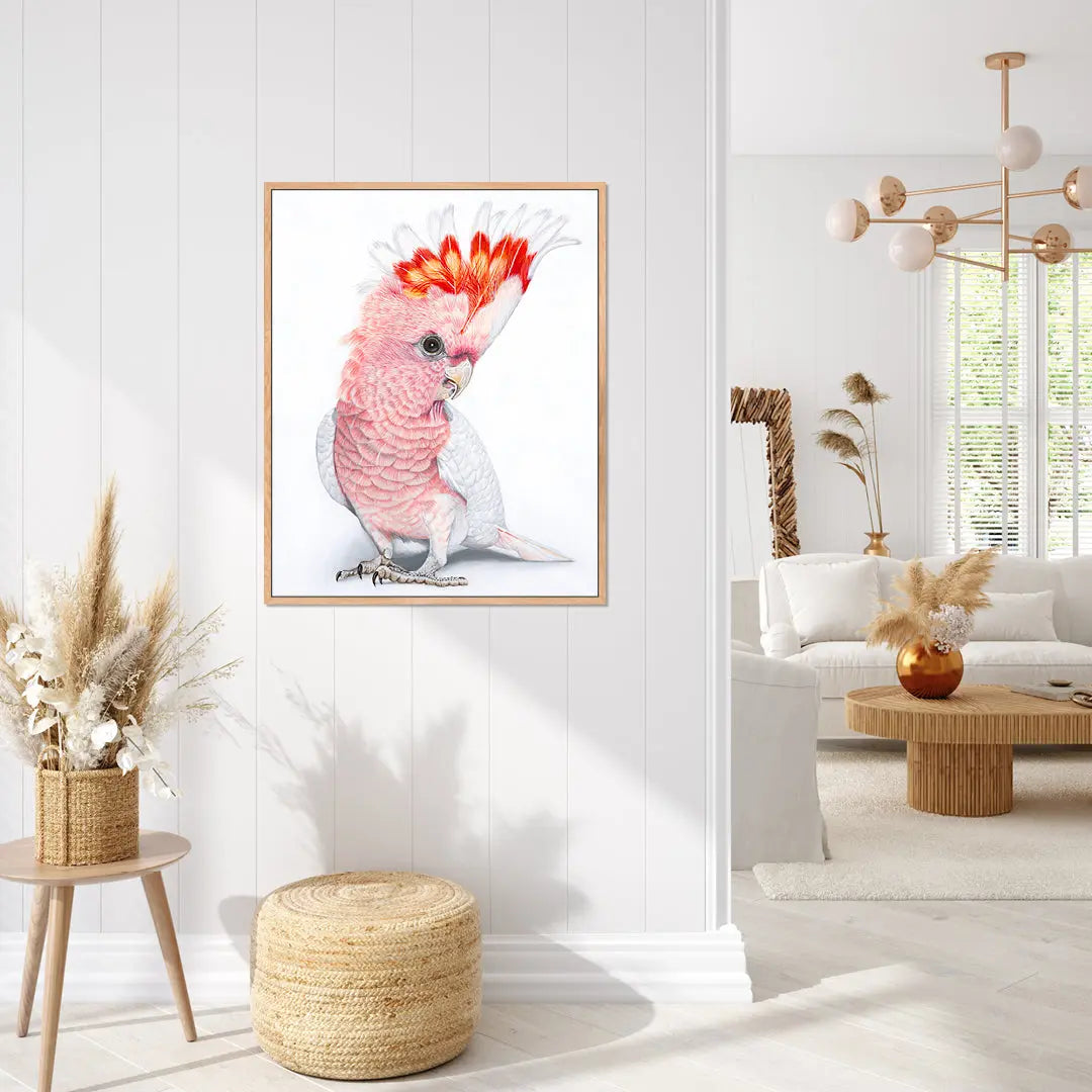 Polly Pink Cockatoo (UNFRAMED) Art by Anne-Marie Bloor