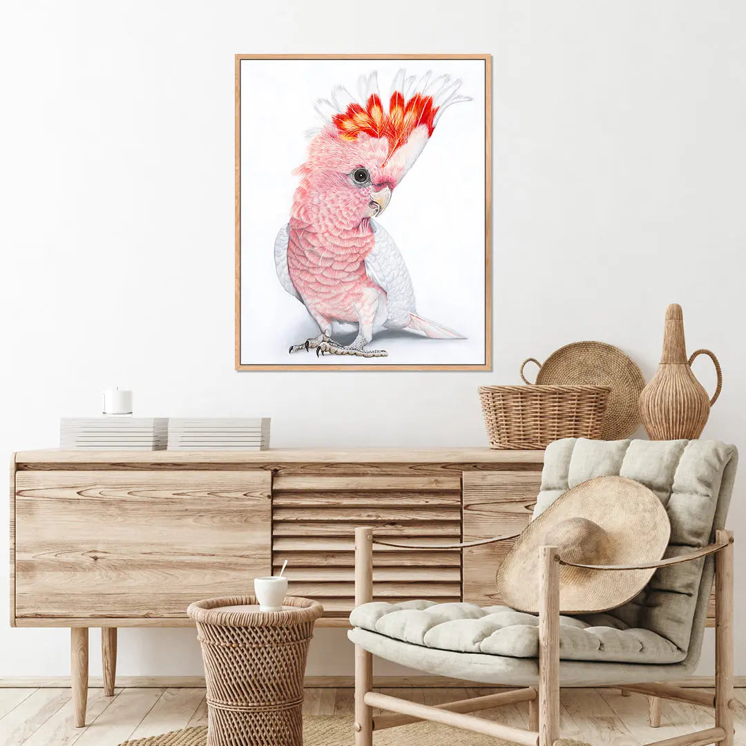 Polly Pink Cockatoo (UNFRAMED) Art by Anne-Marie Bloor