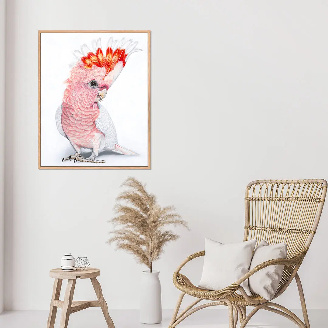 Polly Pink Cockatoo (UNFRAMED) Art by Anne-Marie Bloor