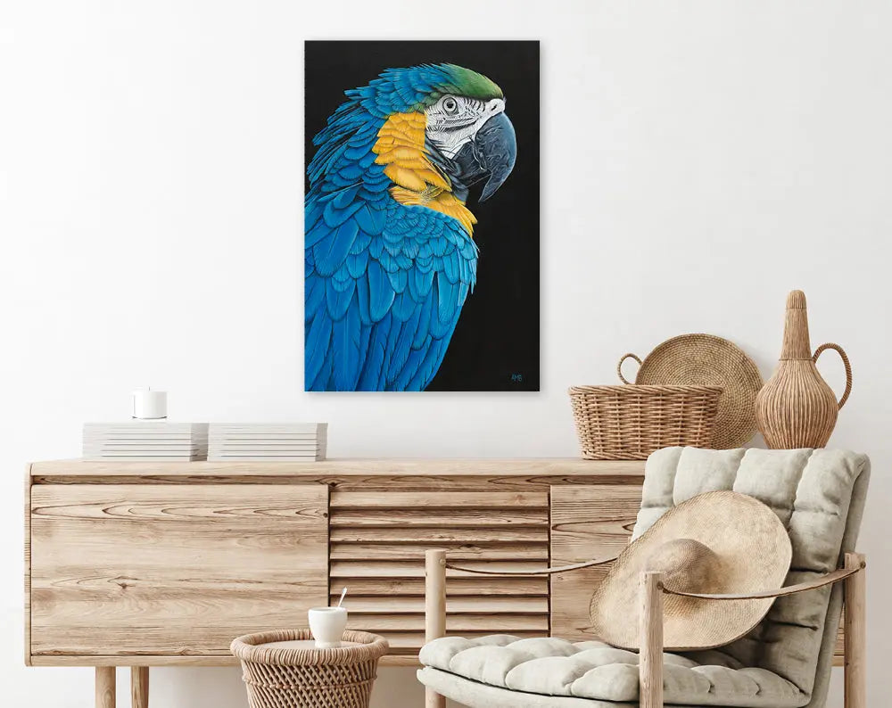 Anastasia - Blue and Gold Macaw Art by Anne-Marie Bloor
