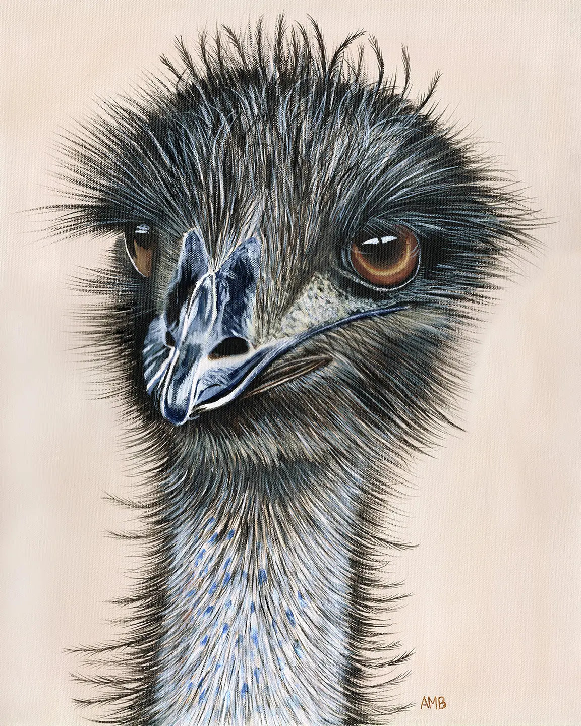 Andy the Emu Art by Anne-Marie Bloor