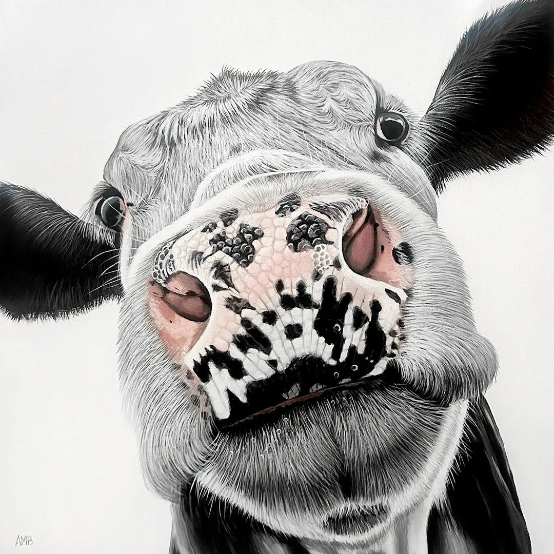 Cow up close with bubbles on his nose