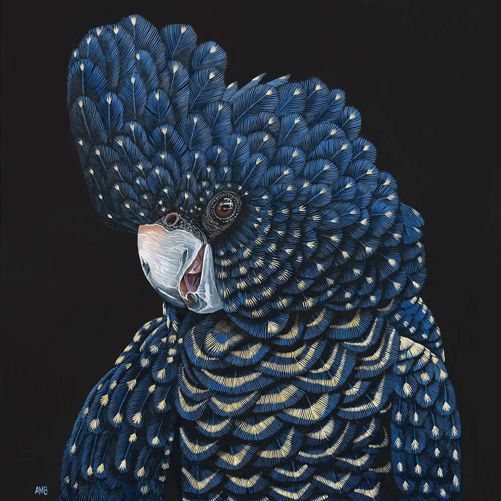 Maureen Red Tailed Black Cockatoo Print Art by Anne-Marie Bloor