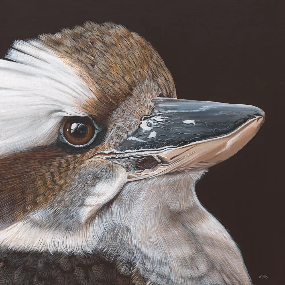 Zac Kookaburra Print Art by Anne-Marie Bloor