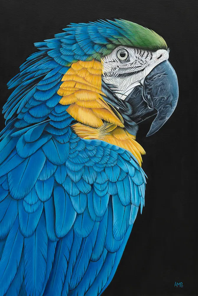 Anastasia Blue Gold Macaw Print Art by Anne-Marie Bloor