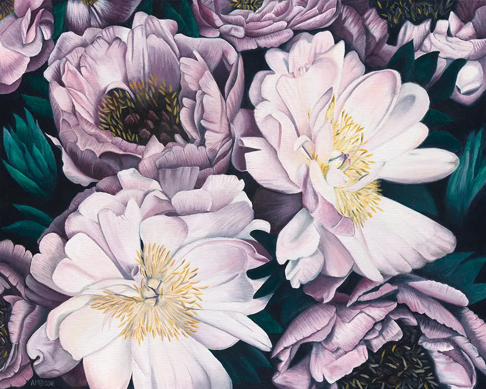 Close-up of pink and white flowers with green leaves on a dark background