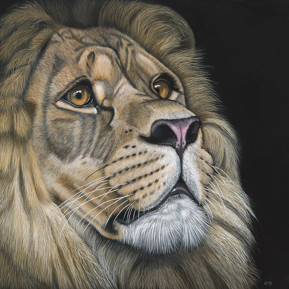 Close-up of a lion's face with a dark background