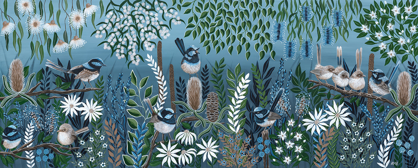 Superb Fairy Wrens Backgarden