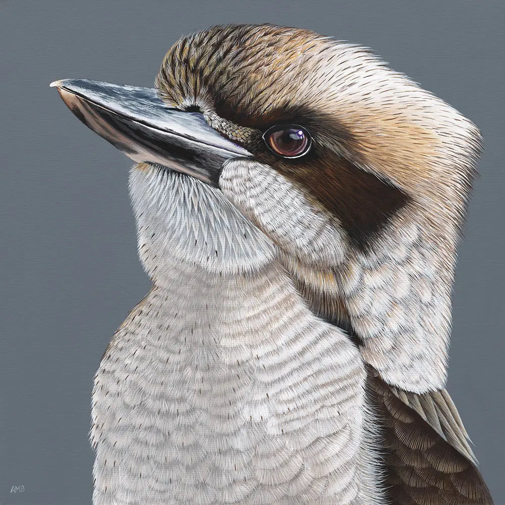 Billy Kookaburra Print Art by Anne-Marie Bloor