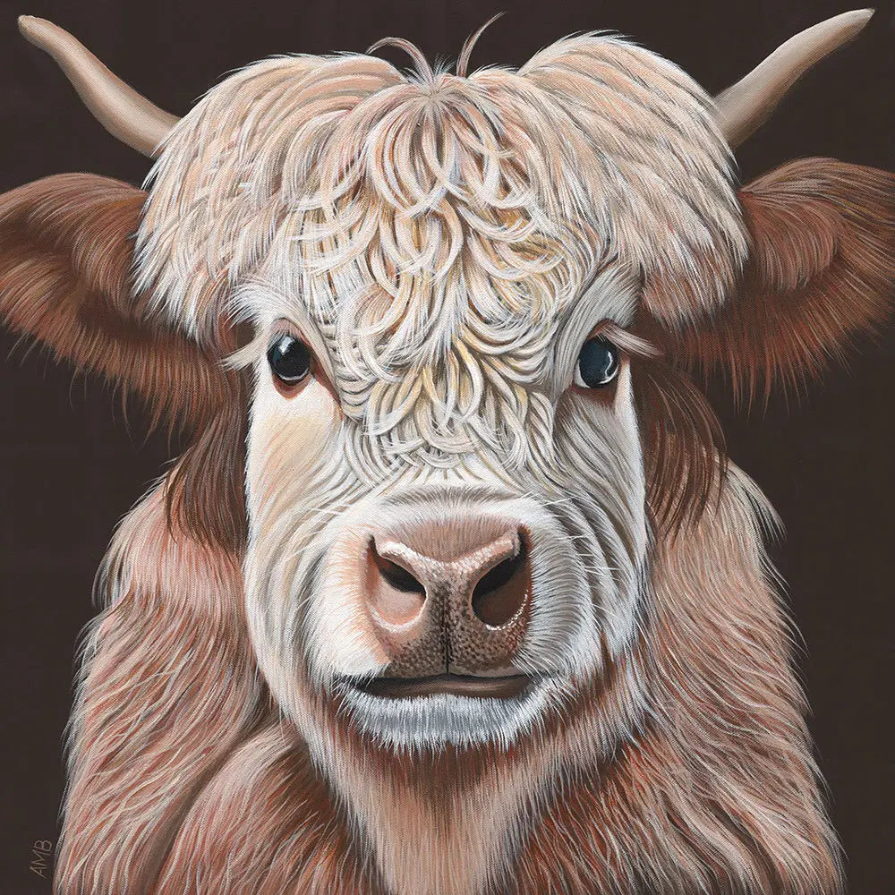 Close-up of a highland cow's face with detailed fur texture on a dark background
