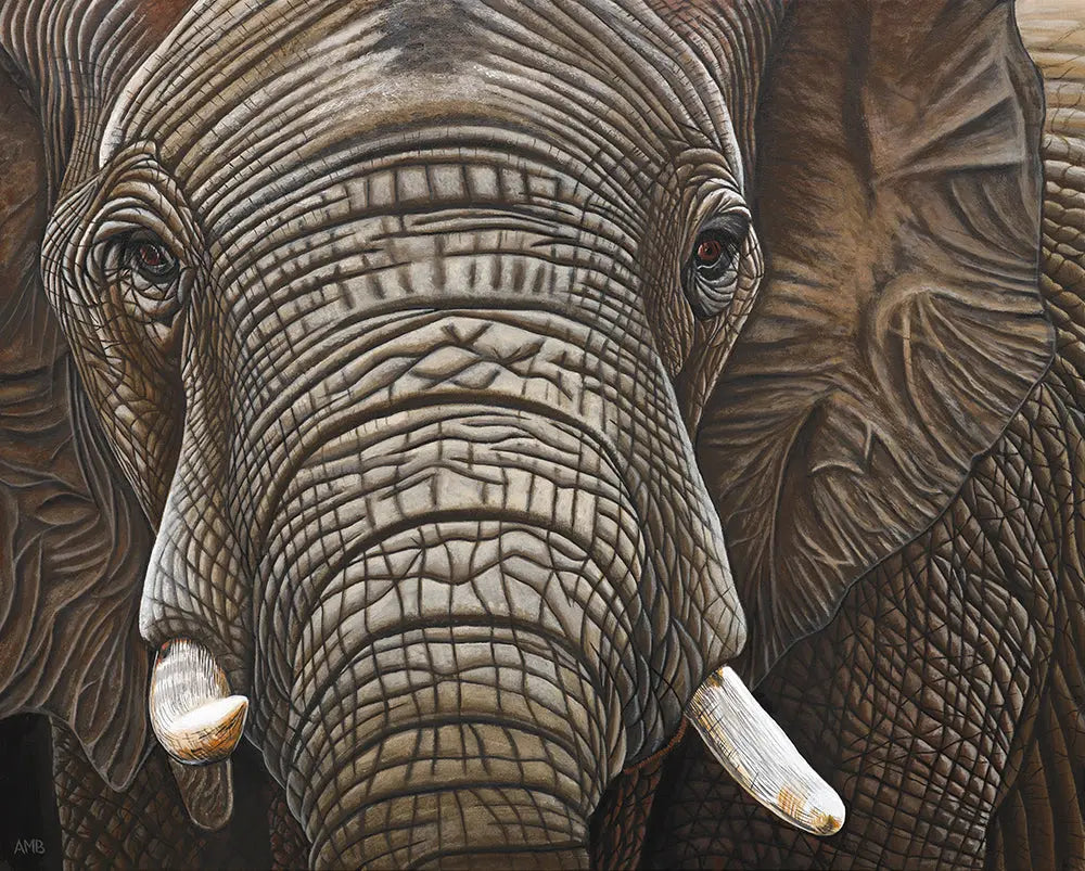 Amarula Elephant Art by Anne-Marie Bloor
