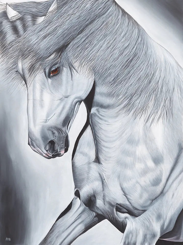 Wild Stallion Art by Anne-Marie Bloor