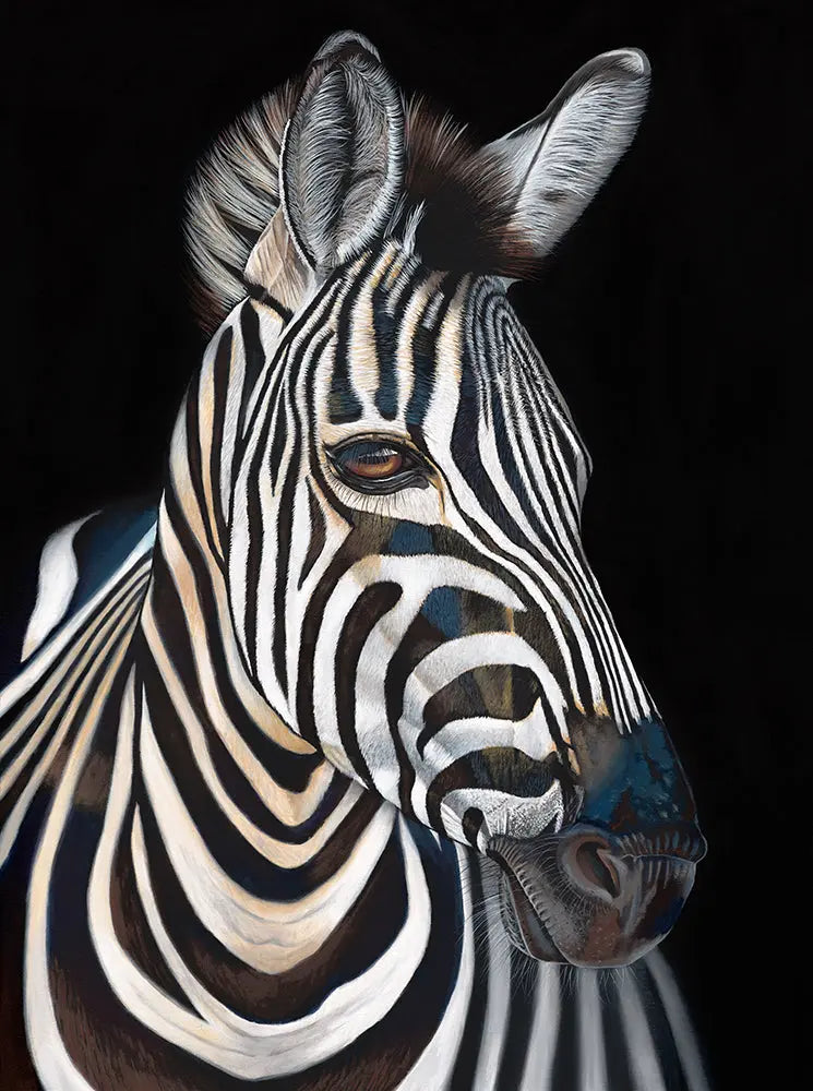 Stripes - Zebra Art by Anne-Marie Bloor