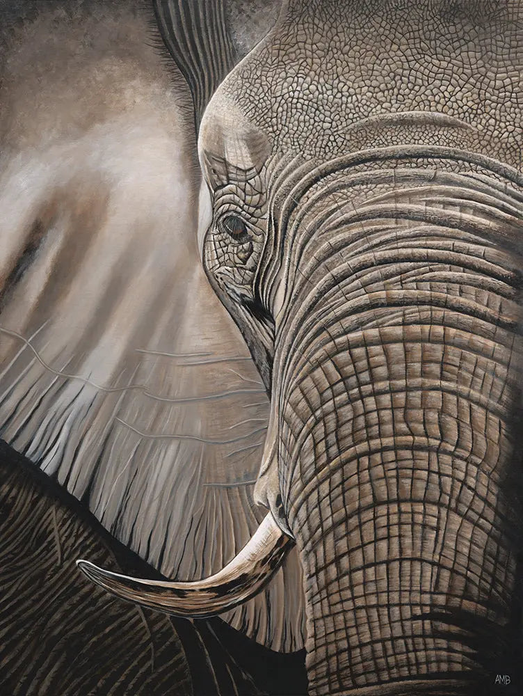 Close-up of an elephant's head with detailed texture on skin and tusk.