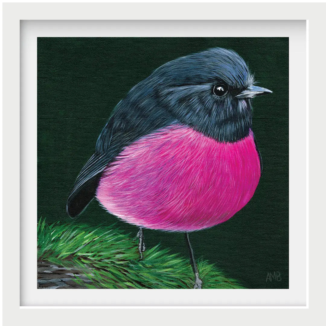 Pink Robin Art by Anne-Marie Bloor
