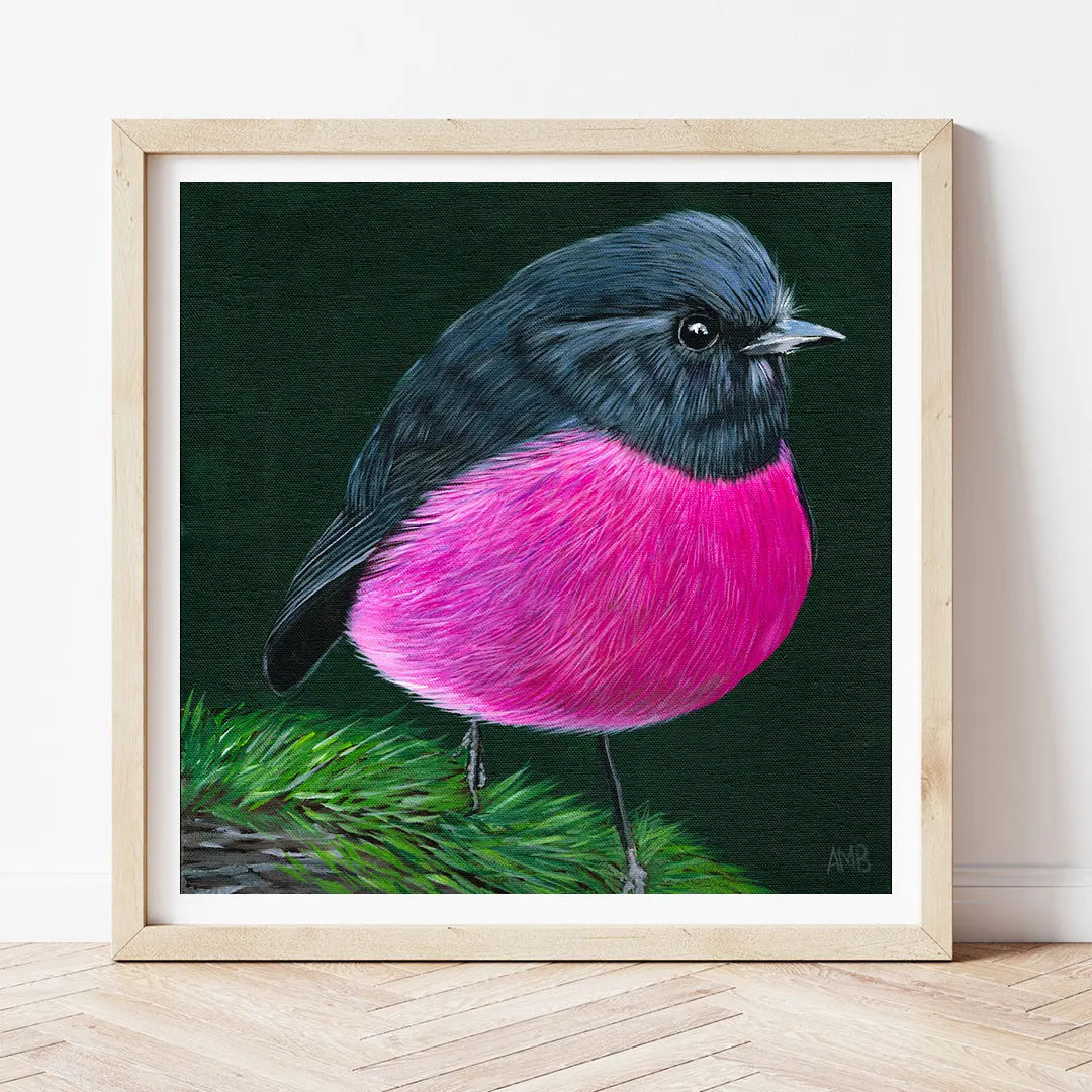 Pink Robin Art by Anne-Marie Bloor