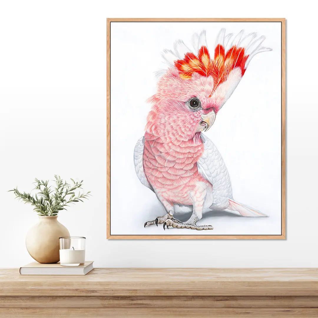 Polly Pink Cockatoo Print Art by Anne-Marie Bloor
